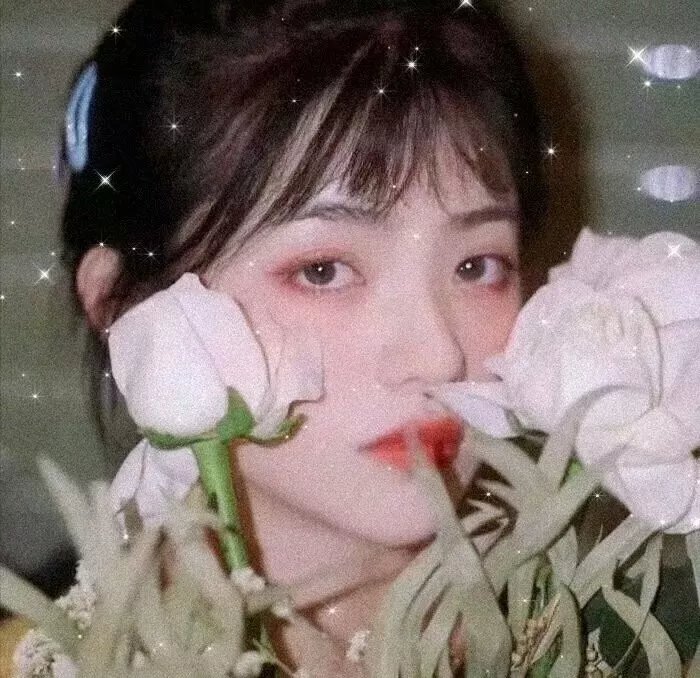探索者的目标